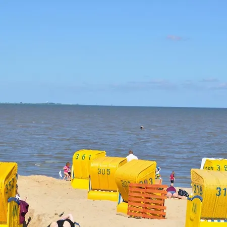 Exner Hinter Dem Deich