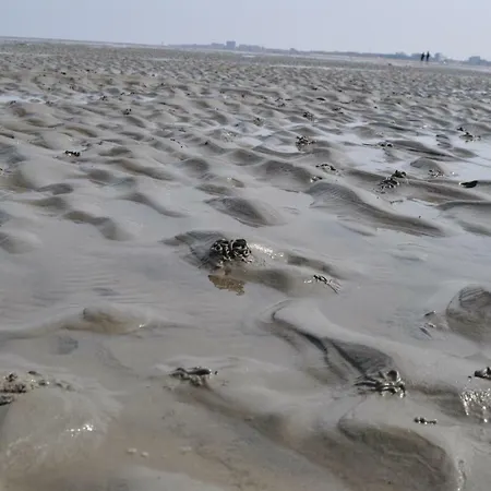 Exner Hinter Dem Deich Σπίτι διακοπών