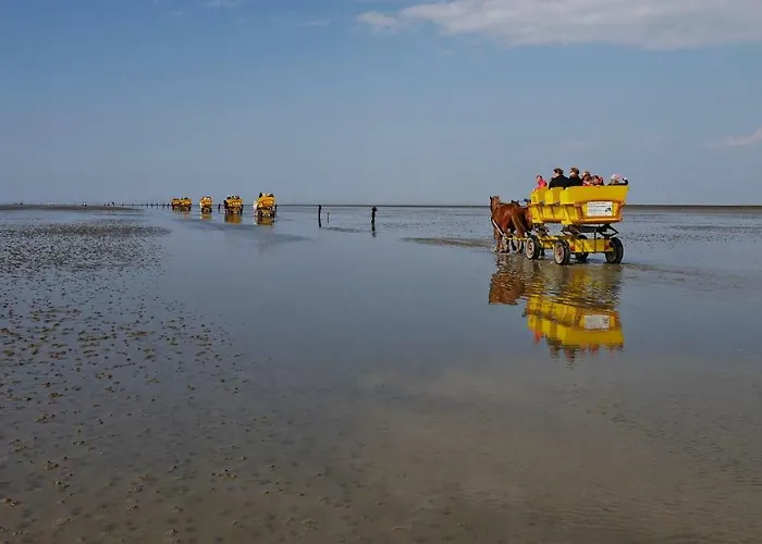 Exner Hinter Dem Deich Nyaraló Cuxhaven