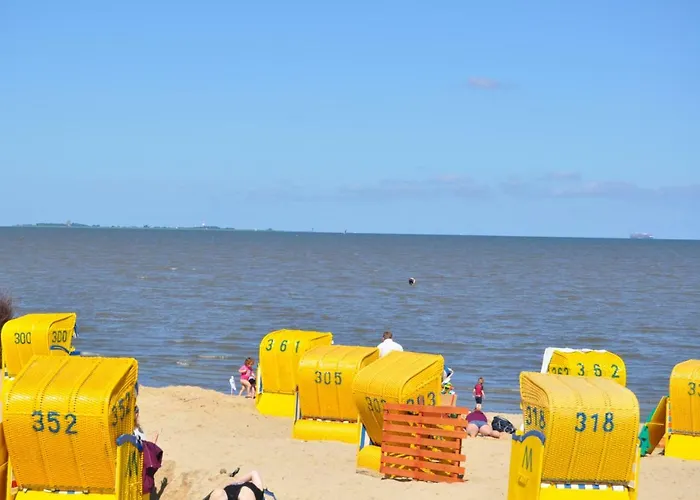 Exner Hinter Dem Deich