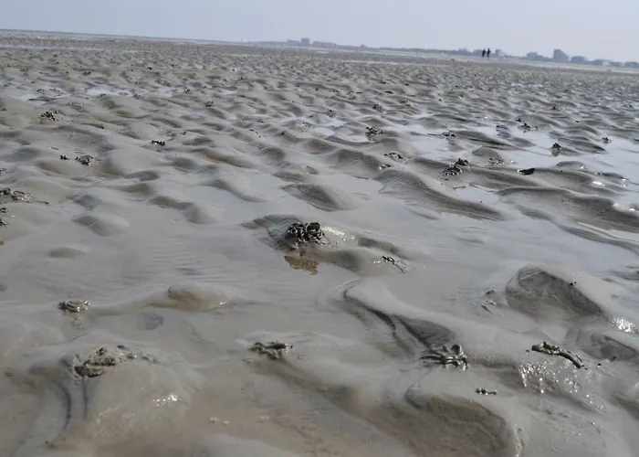 Exner Hinter Dem Deich Nyaraló